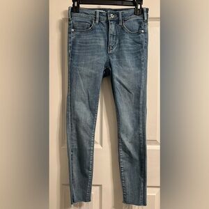 Pilcro and the Letterpress Blue Skinny Jeans